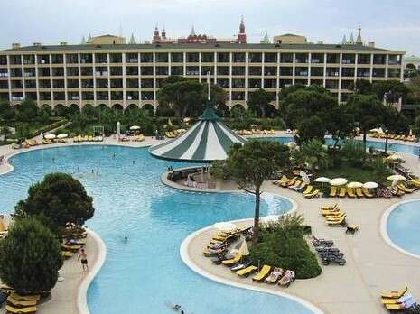 דודו בזק דודו בזק