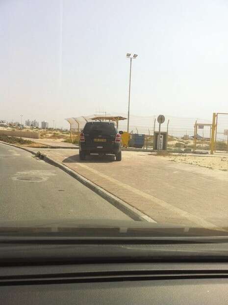 �����: ��� �����