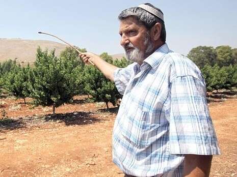 צילום: יוסי אלוני צילום: יוסי אלוני