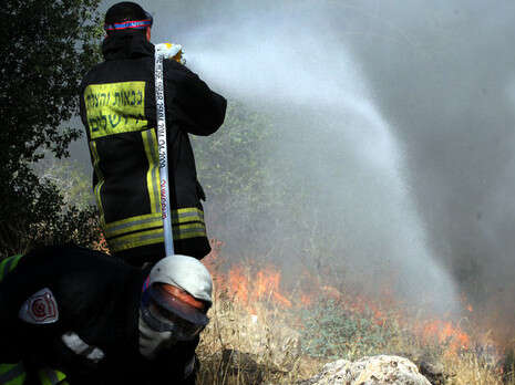 צילום: פלאש 90 צילום: פלאש 90