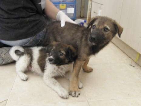 �����: ��� ���� ���� ������� 