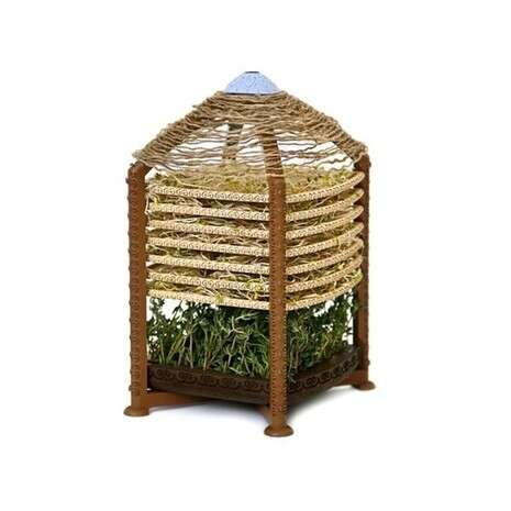 ����: ��� �������