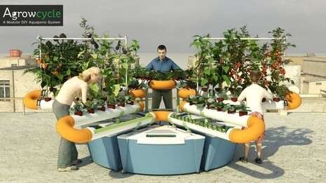 ����: ���� ����