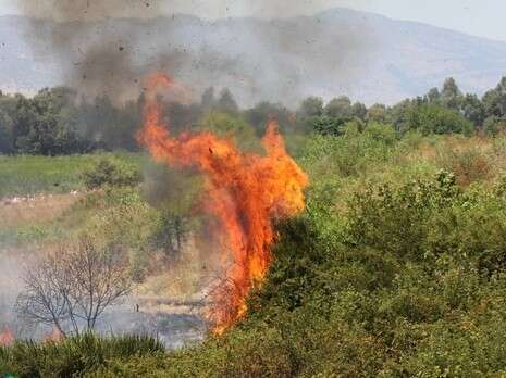 צילום: אילונה דוד צילום: אילונה דוד