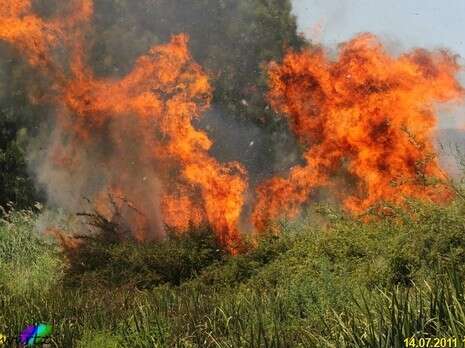 צילום: אילונה דוד צילום: אילונה דוד