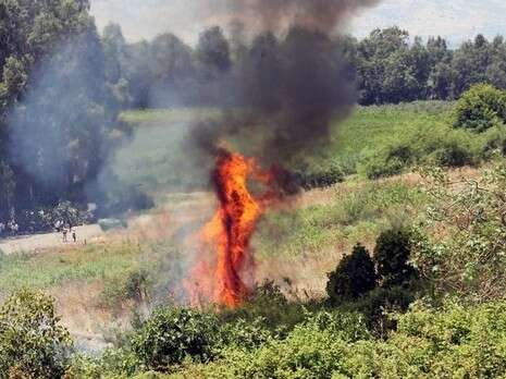 צילום: אילונה דוד צילום: אילונה דוד