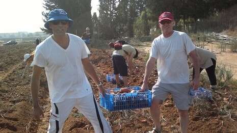 צילום: אבי רועי צילום: אבי רועי