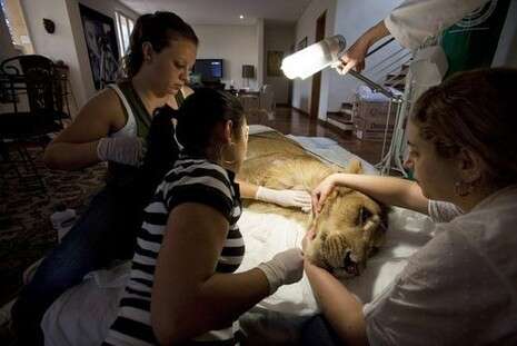 �����: ��-��-���