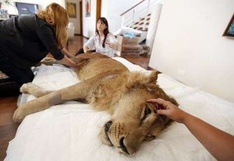 �����: ������