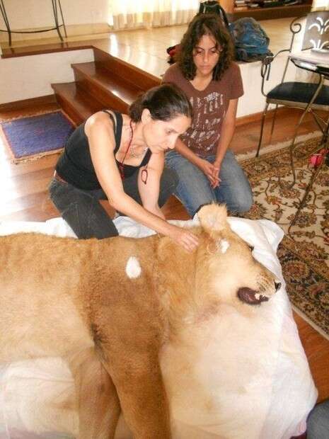 �����: ��� ����