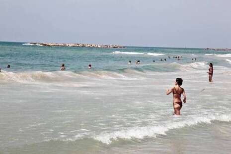 צילום: רענן כהן צילום: רענן כהן