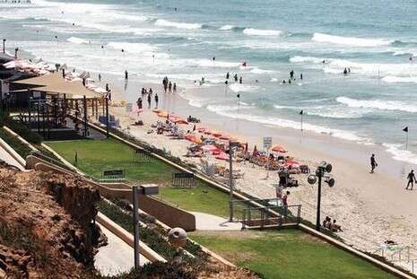 צילום: נאור רהב צילום: נאור רהב