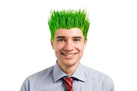 צילום: שאטרסטוק צילום: שאטרסטוק