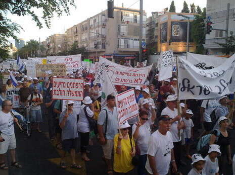 צילום: אמיר מאירי צילום: אמיר מאירי