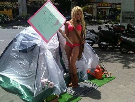 צילום: יח''צ צילום: יח''צ