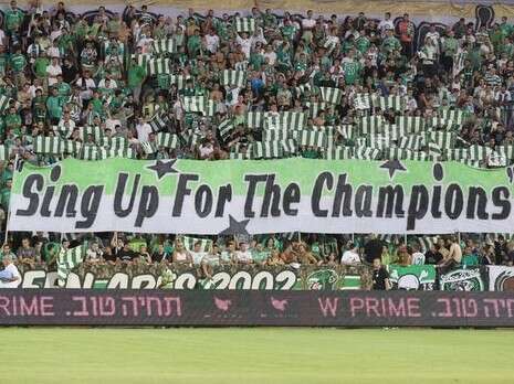 צילום: אלן שיבר צילום: אלן שיבר
