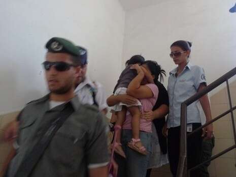 צילום: רמי גודוביץ צילום: רמי גודוביץ