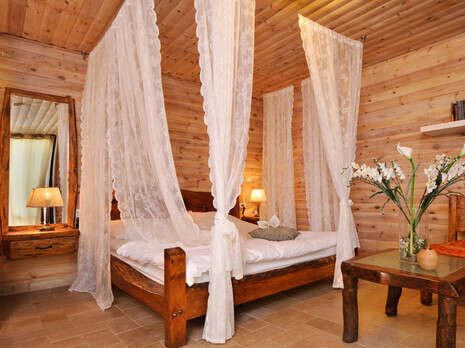 סשה אלכוב סשה אלכוב