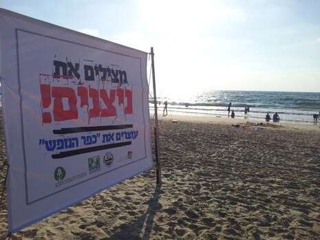 �����: �� �������, ����� ����� ����