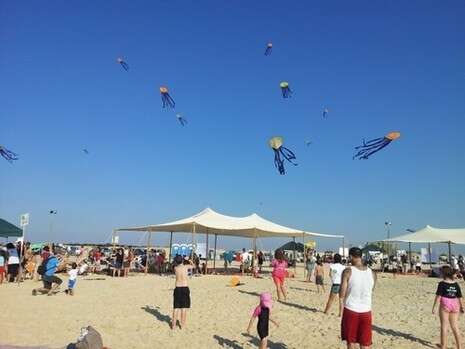 �����: �� �������, ����� ����� ����