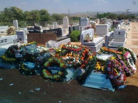 �����: ��� ���