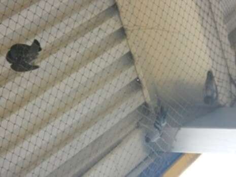 צילום: משרד החקלאות צילום: משרד החקלאות