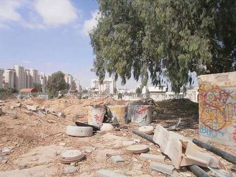 צילום: דודו עזריה צילום: דודו עזריה