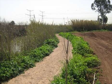 באדיבות לוטן אדריכלות ונוף באדיבות לוטן אדריכלות ונוף