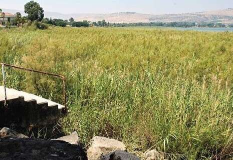 צילום: יגאל לוי צילום: יגאל לוי