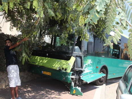 �����: ����� ������