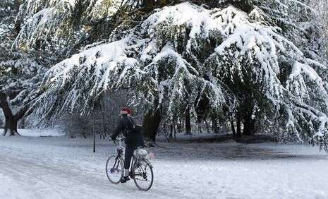 צילום: איי-פי צילום: איי-פי