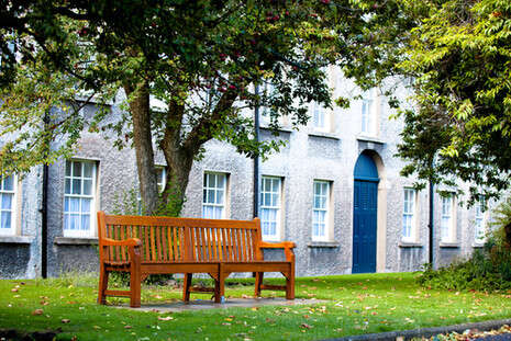 צילום: שאטרסטוק צילום: שאטרסטוק