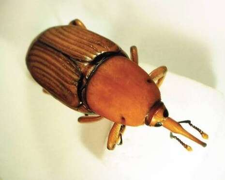 �����: ���� �������