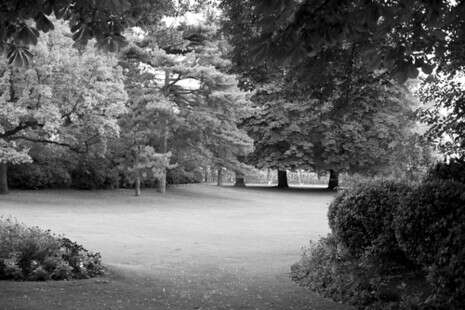 עמית ישראלי עמית ישראלי