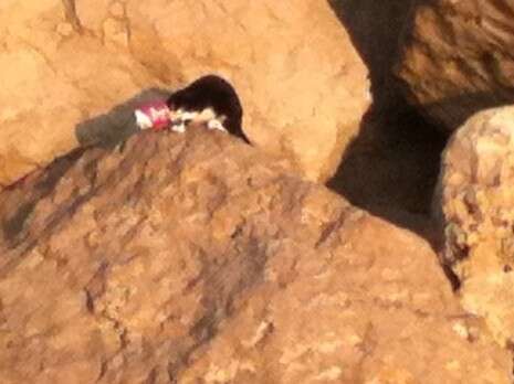 �����: ������ ���� ���� ����