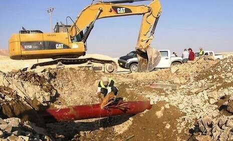 צילום: עמרם צברי, רשות הטבע והגנים צילום: עמרם צברי, רשות הטבע והגנים