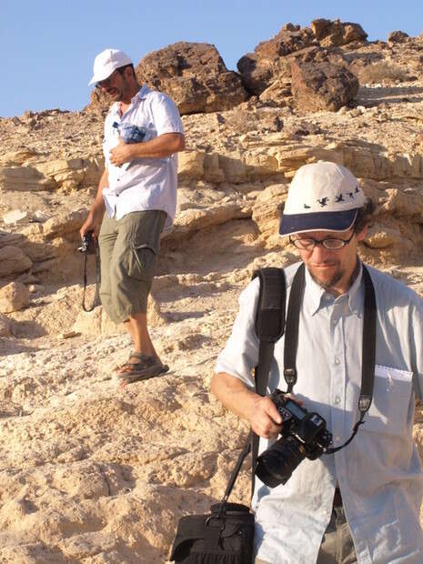 �����: ��� ����