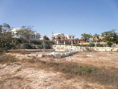צילום: דודו עזריה צילום: דודו עזריה