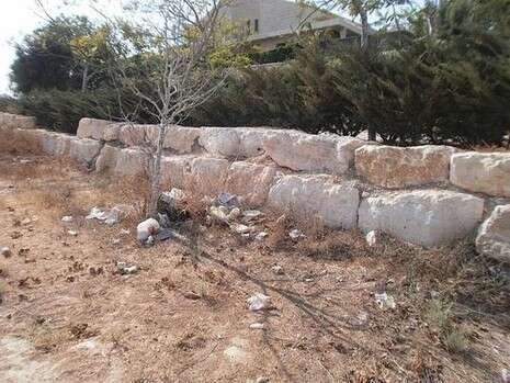 צילום: דודו עזריה צילום: דודו עזריה