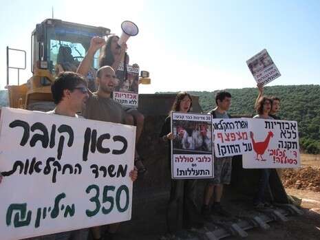 צילום: אנונימוס צילום: אנונימוס