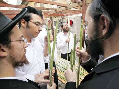 צילום ארכיון: פלאש 90 צילום ארכיון: פלאש 90