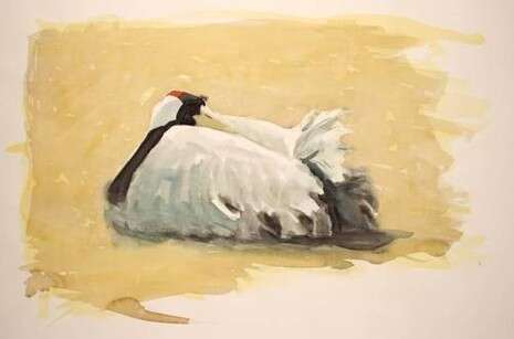 ����: ���� ���� 