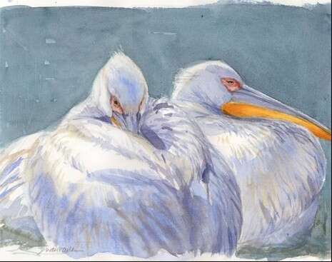 ����: ����� ���� ����