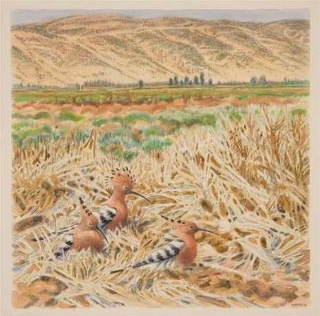 ����: ����� ����