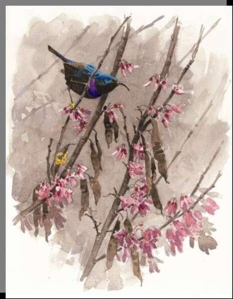 ����: ���� ��� ����