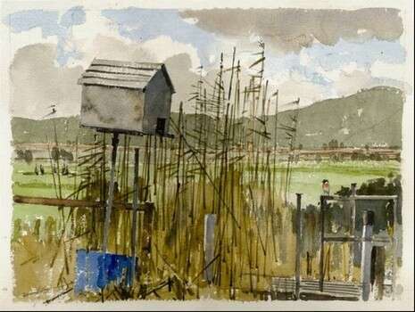 ����: ���� ��� ����