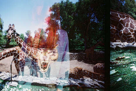 ���� ����