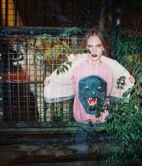 ���� ����