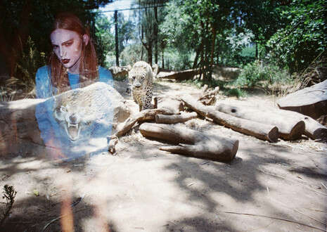 ���� ����