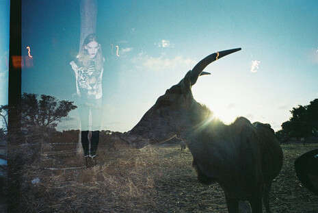 ���� ����